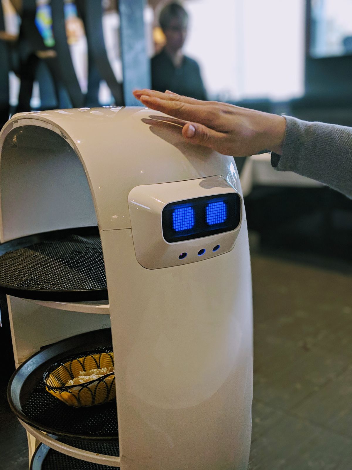 レストランで稼働する配膳ロボット